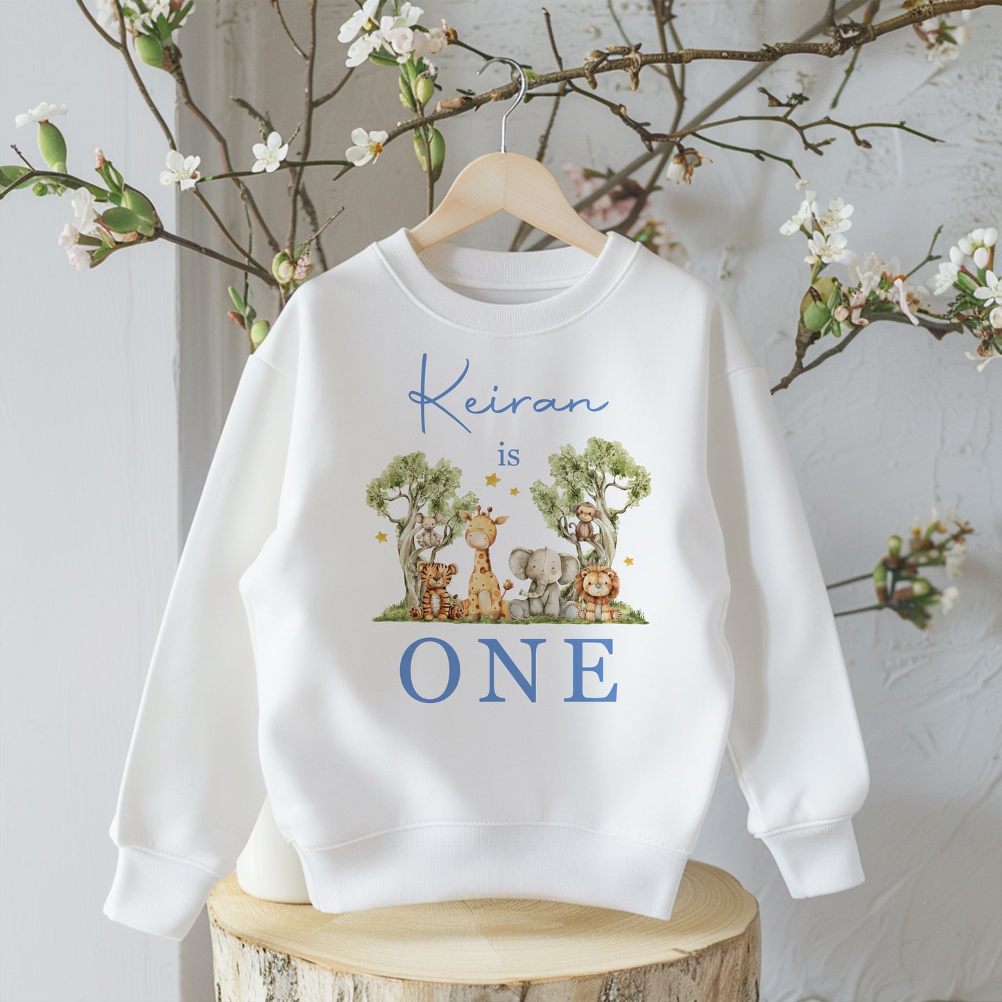 Jungle Safari Birthday T-Shirt or Sweatshirt