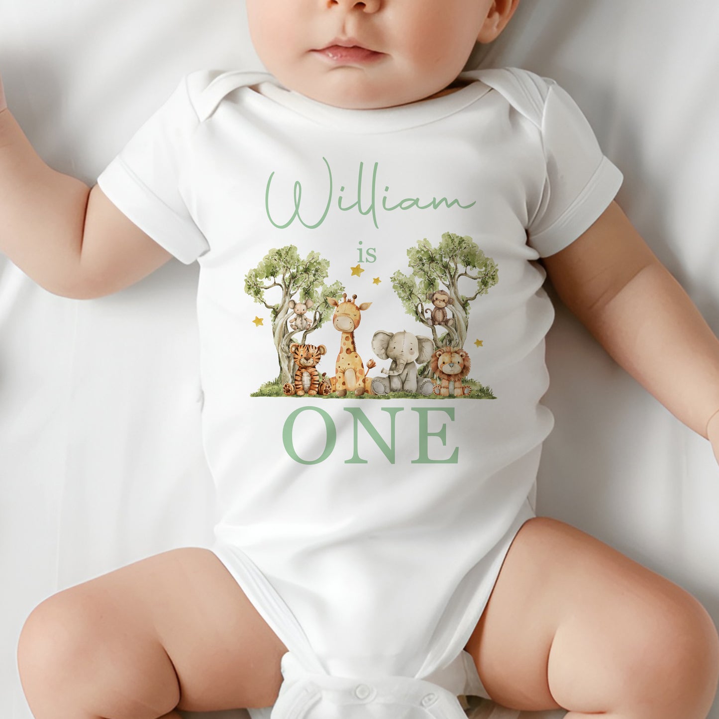 First Birthday Outfit - Jungle Safari - Blue Pink or Green