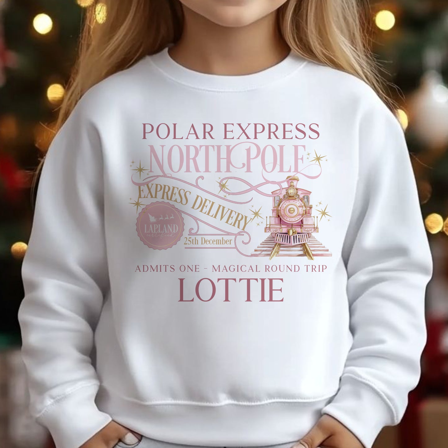 Polar Express Sweatshirt - Matching Family from Baby to Adult