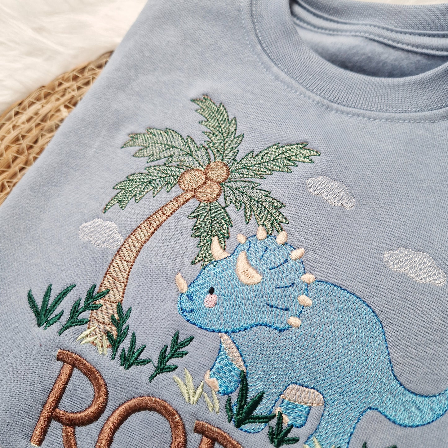 Dinosaur Triceratops Sweatshirt