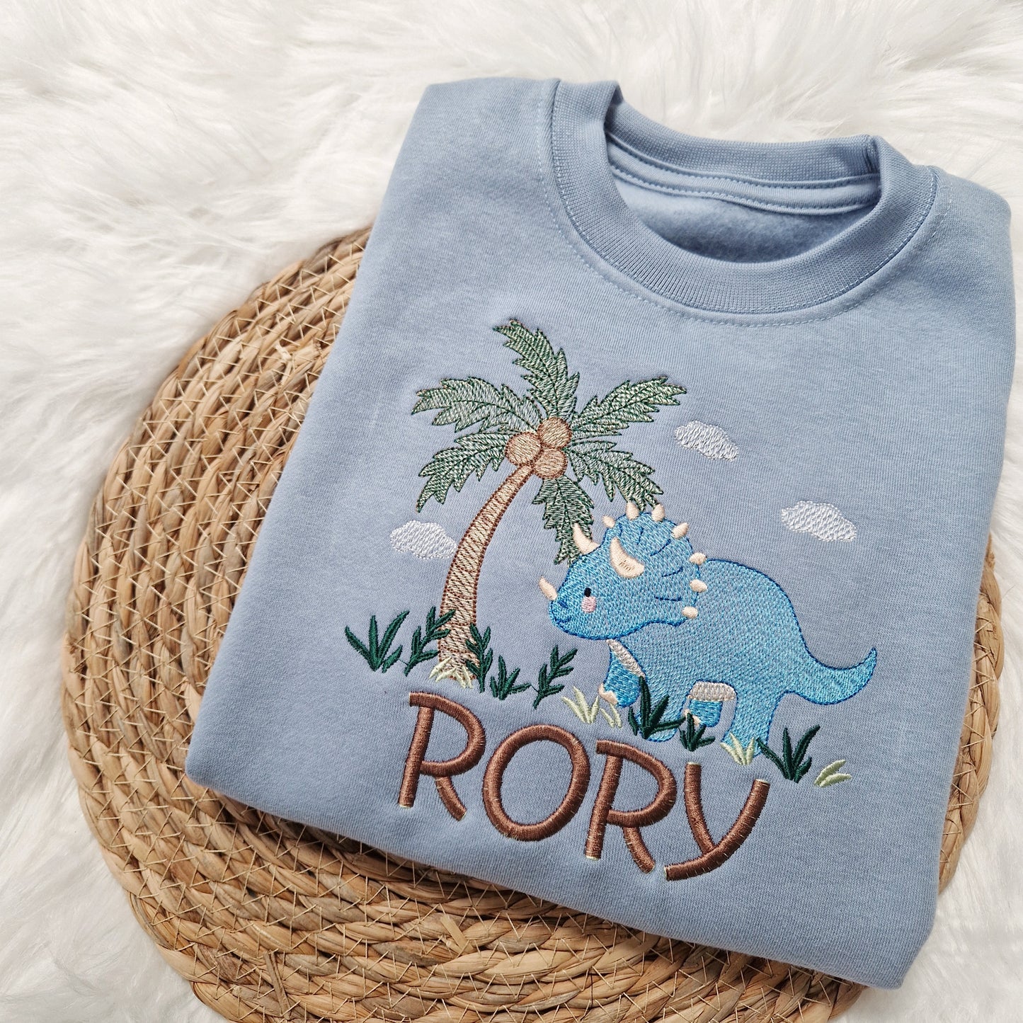 Dinosaur Triceratops Sweatshirt