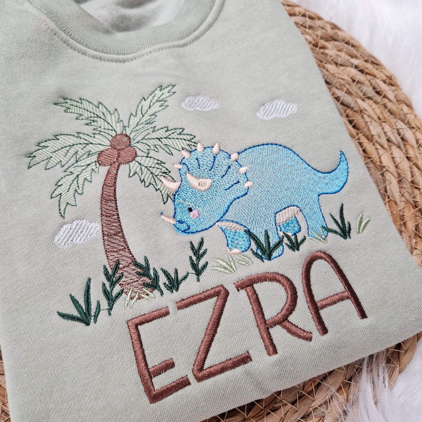 Dinosaur Triceratops Sweatshirt