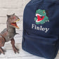 Dinosaur T-REX Backpack