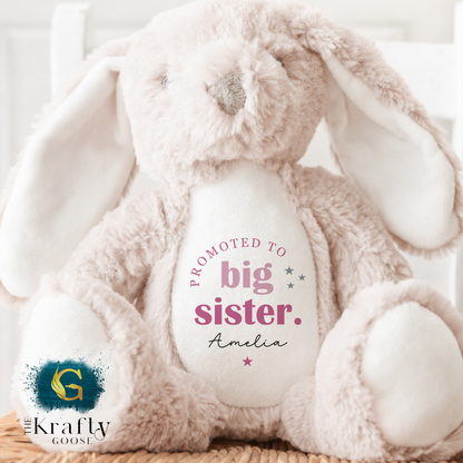 Big Sister Bunny - Promoted to Big Sister Bear