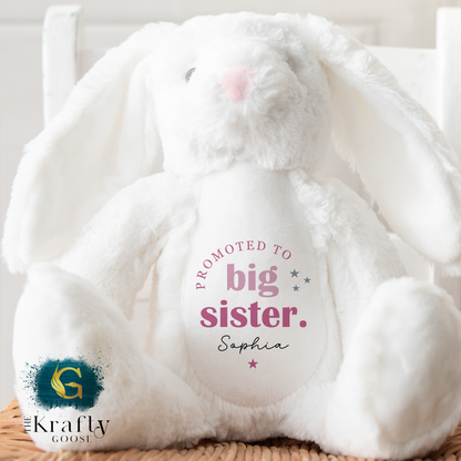 Big Sister Bunny - Promoted to Big Sister Bear