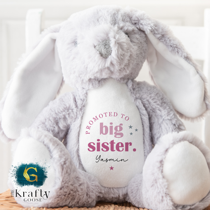 Big Sister Bunny - Promoted to Big Sister Bear