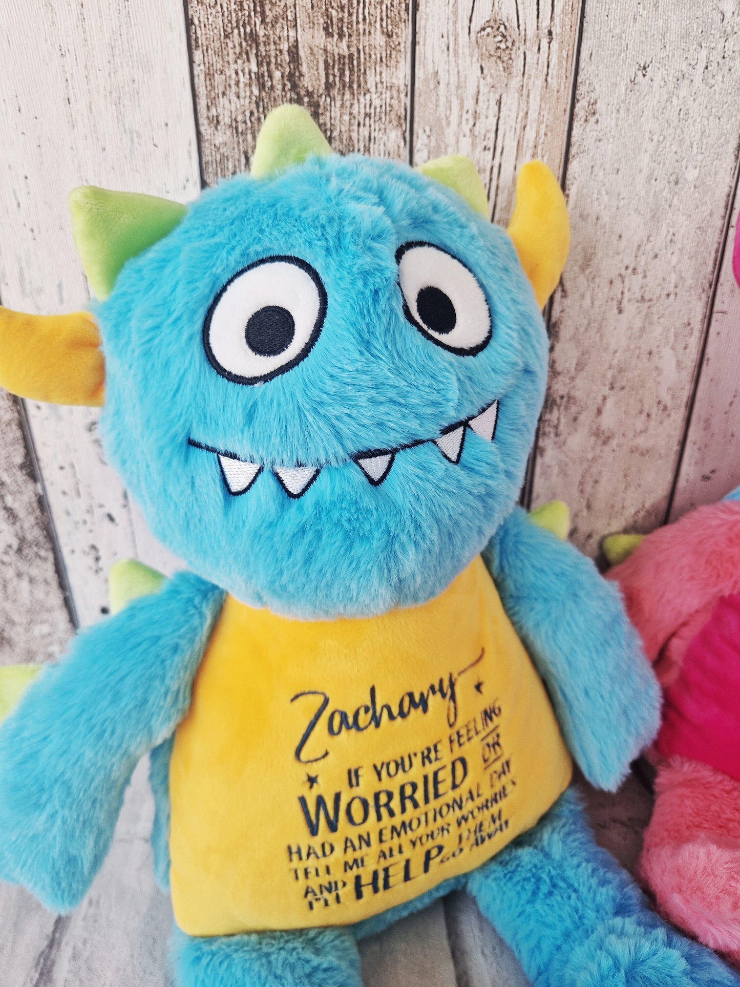 Personalised Worry Monster