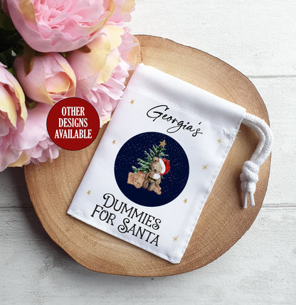 Dummies for Santa Bag