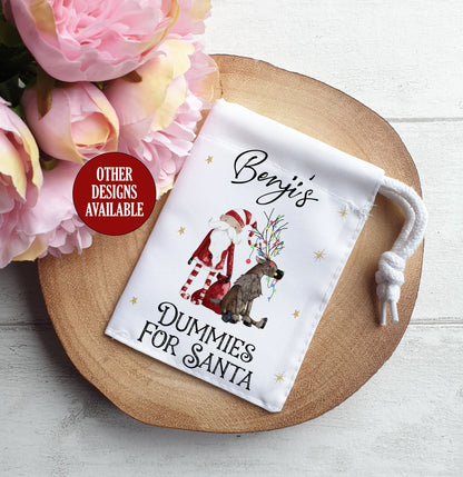 Dummies for Santa Bag